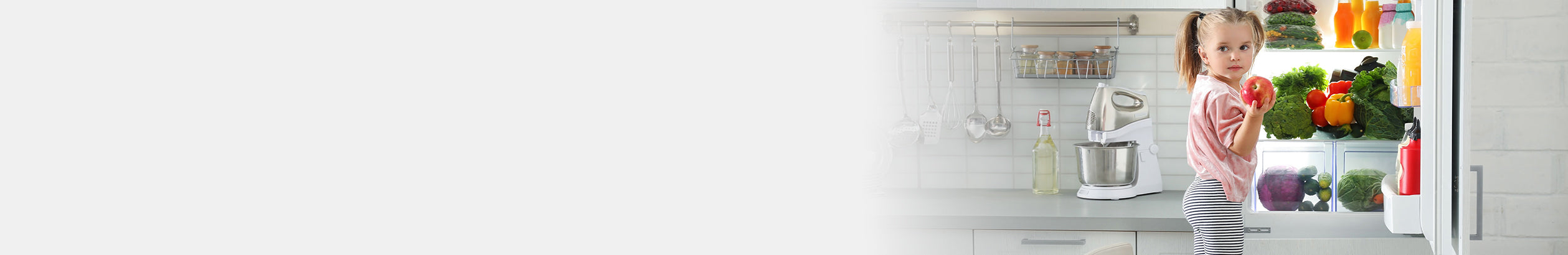 Built In Fridge Freezers Banner