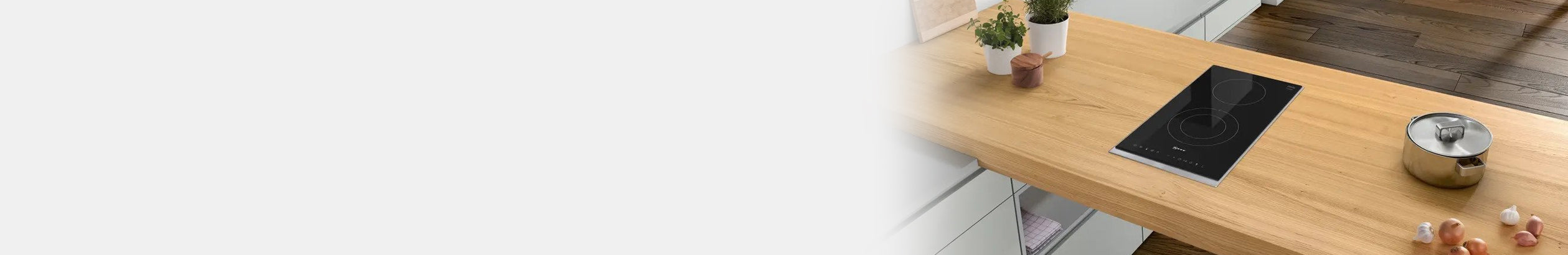 Electric Domino Hobs Banner