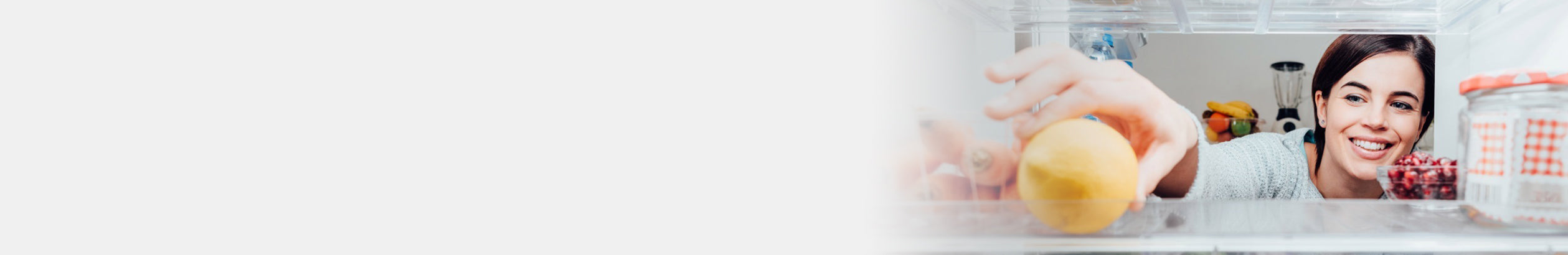 Freestanding Larder Fridges Banner