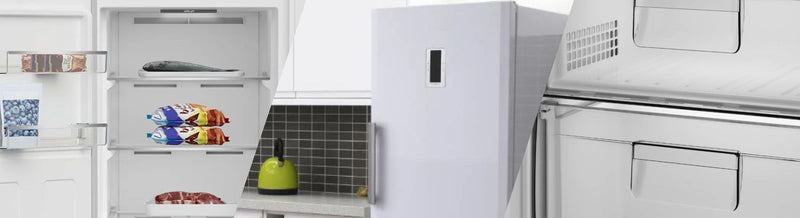 Blomberg Tall Freestanding Freezers