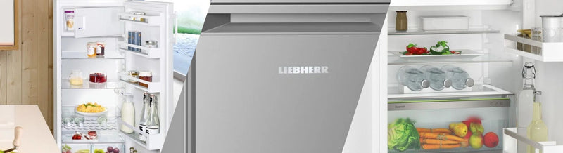 Liebherr Freestanding Fridges With Ice Box