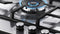 CG604DNGX1 Thumbnail