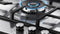 CG905DLPX1 Thumbnail