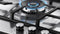 CG905DNGX1 Thumbnail