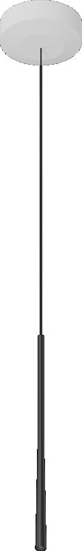 LSASW