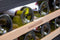 RDZ6046 Thumbnail