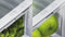 RF540ADUX6 Thumbnail