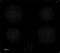 T36CA50X1U Thumbnail