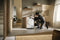 TEA525WP Thumbnail