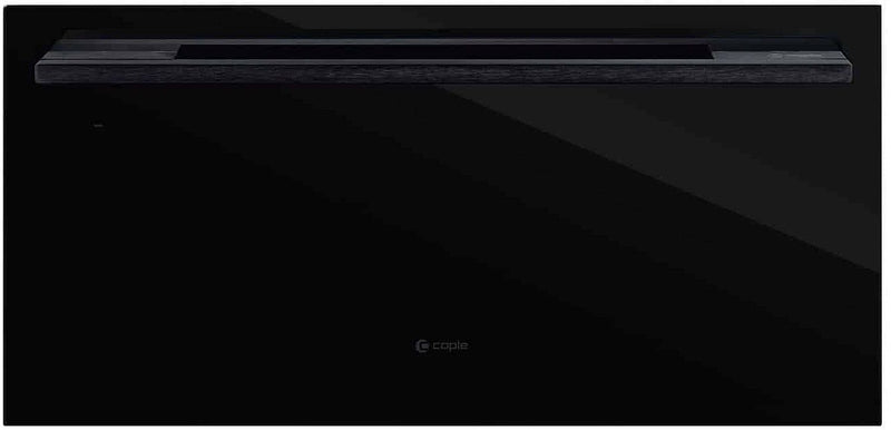 WD290BG